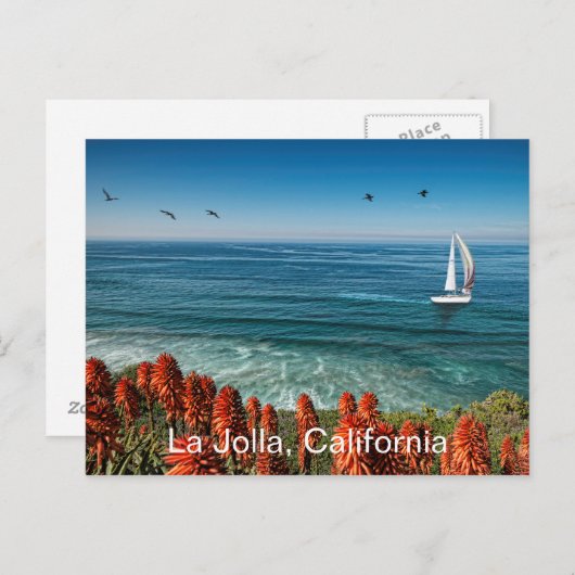 Zeilen in La Jolla Briefkaart (Voorkant / Achterkant)