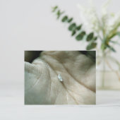 Zeilen langs de Lifeline Briefkaart (Staand voorkant)