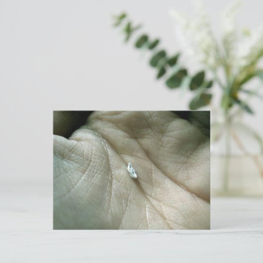 Zeilen langs de Lifeline Briefkaart (Staand voorkant)