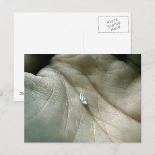 Zeilen langs de Lifeline Briefkaart (Voorkant / Achterkant)