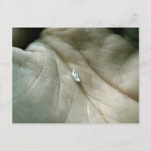 Zeilen langs de Lifeline Briefkaart