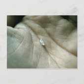 Zeilen langs de Lifeline Briefkaart (Voorkant)