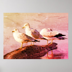 Zeilen op een Logboek Poster