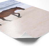 Zeilen op het strand, Outer Banks North Carolina Foto Afdruk (Hoek)