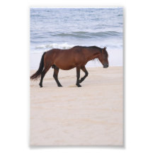 Zeilen op het strand, Outer Banks North Carolina