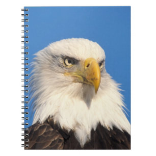 Zeilende Amerikaanse Zeearend Notitieboek