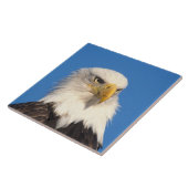 Zeilende Amerikaanse Zeearend Tegeltje (Zijkant)