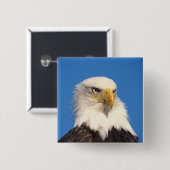 Zeilende Amerikaanse Zeearend Vierkante Button 5,1 Cm (Voorkant /achterkant)