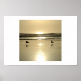 Zeilingen in Daytona Poster