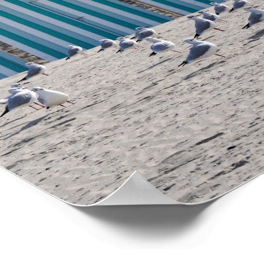 Zeilingen op het strand van Fort Mahon in Frankrij Poster (Hoek)