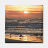 Zeilingen van het Zee op de zon Magneet (Voorkant)