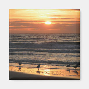 Zeilingen van het Zee op de zon Magneet