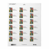 zeilmeisje -  nautische patriottische kunst etiket (Full Sheet)