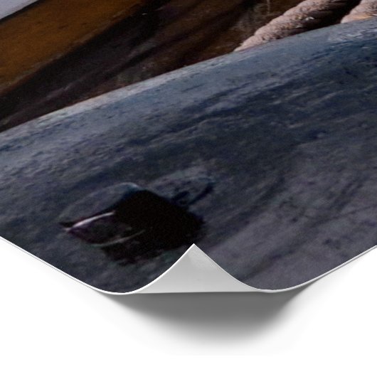 Zeilschip Poster (Hoek)