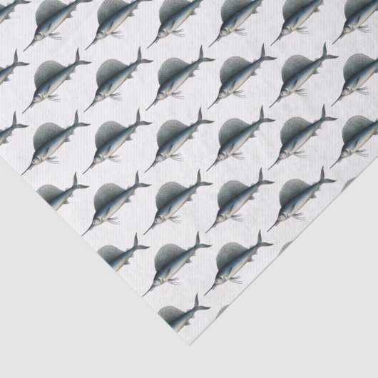 Zeilvis Billfish Tekening Tissuepapier (Detail)