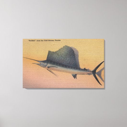 Zeilvis uit Gulf Stream, Florida Canvas Afdruk (Voorkant)