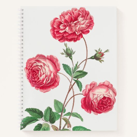 Zeitlose Rose Vintage Art Schönheit Notitieboek (Voorkant)