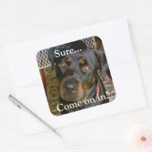 "Zeker...Kom maar binnen" Sticker (rottweiler) (Envelop)