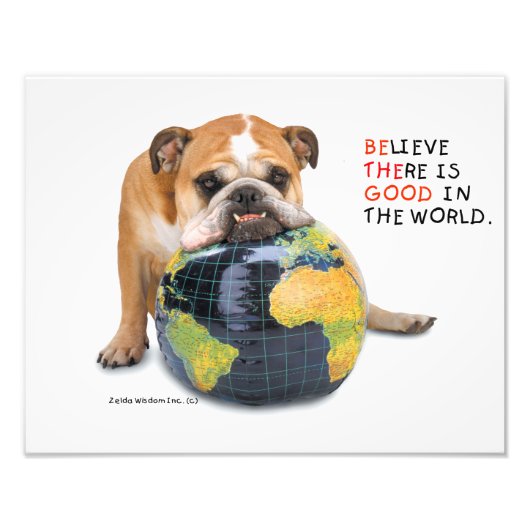 Zelda's Poster Goed in de wereld (Voorkant)