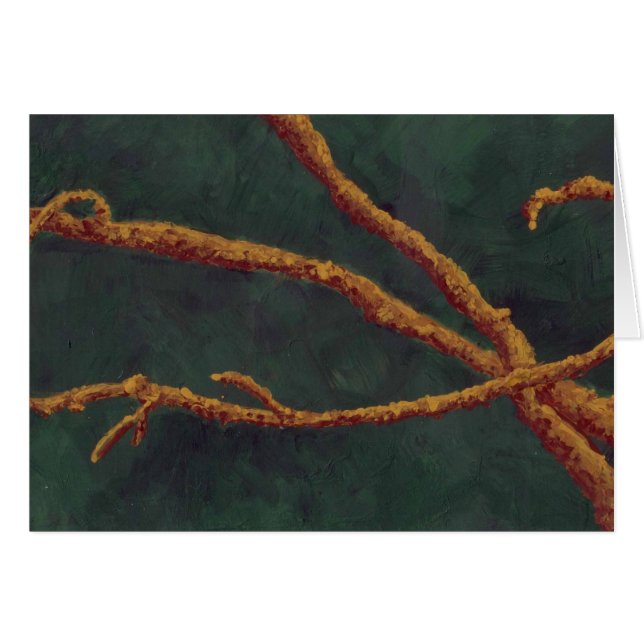 Zeldbijkantoren (Voorkant Horizontaal)