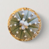 Zelden Astrofytum Asterias Patrooncactus Ronde Button 5,7 Cm (Voorkant)