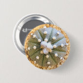 Zelden Astrofytum Asterias Patrooncactus Ronde Button 5,7 Cm (Voorkant /achterkant)