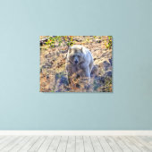 Zelden Beer Kermode (Spirit Beer) Foto Canvas Afdruk (Insitu (Houten vloer))