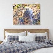 Zelden Beer Kermode (Spirit Beer) Foto Canvas Afdruk (Insitu (Slaapkamer))