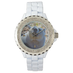 Zelden Beer Kermode (Spirit Beer) Wildlife Foto Horloge