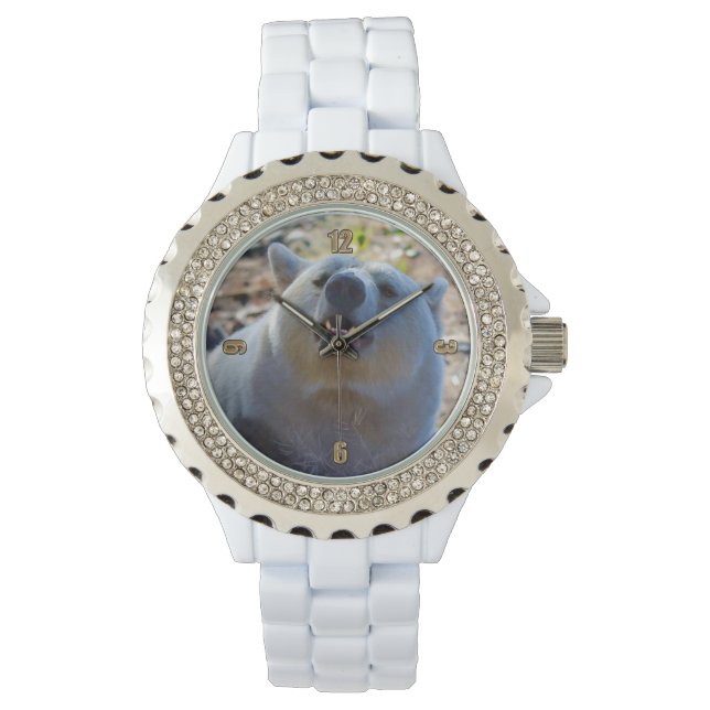 Zelden Beer Kermode (Spirit Beer) Wildlife Foto Horloge (Voorkant)