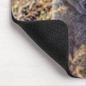 Zelden Beer Kermode (Spirit Beer) Wildlife Foto Muismat (Hoek)