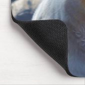 Zelden Beer Kermode (Spirit Beer) Wildlife Foto Muismat (Hoek)