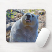 Zelden Beer Kermode (Spirit Beer) Wildlife Foto Muismat (Met muis)