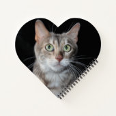 Zelden blauw gemarmerd bengaal kat fotografie notitieboek (Achterkant)