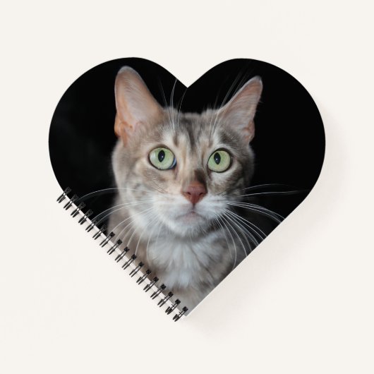 Zelden blauw gemarmerd bengaal kat fotografie notitieboek (Voorkant)