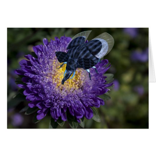 Zelden blauw olifant (Voorkant Horizontaal)