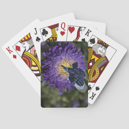 Zelden blauw olifant speelkaarten (Achterkant)