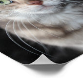 Zelden blauwe, gemarmerde bengalige kat foto poster (Hoek)