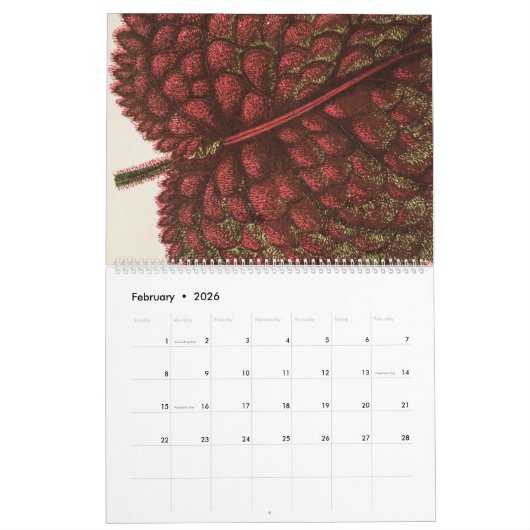 Zelden Botanische  Leaf Illustratie Kalender (Feb 2026)