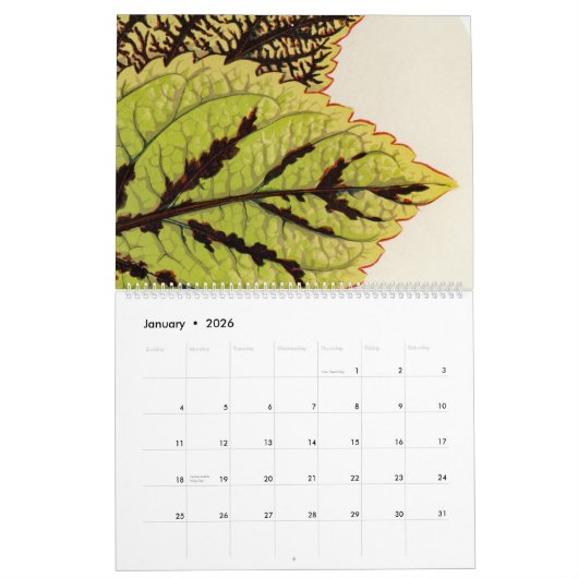 Zelden Botanische  Leaf Illustratie Kalender (Jan 2026)