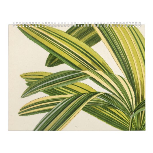 Zelden Botanische  Leaf Illustratie Kalender (Hoes)
