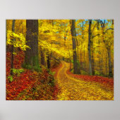 Zelden gebruikte weg, afdrukken poster (Voorkant)