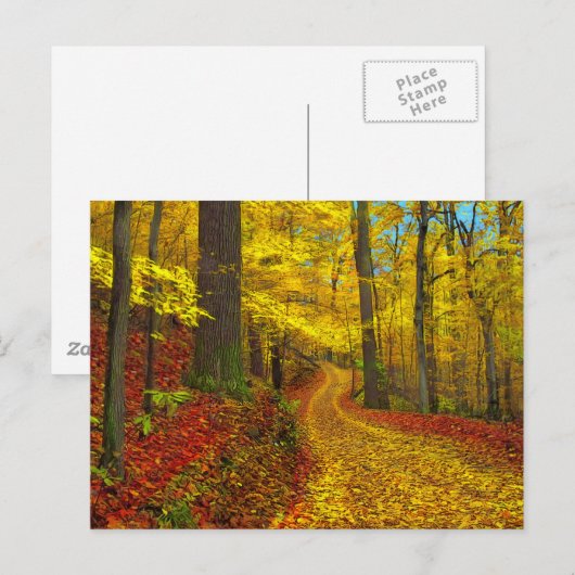 Zelden gebruikte weg, briefkaart (Voorkant / Achterkant)