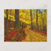 Zelden gebruikte weg, briefkaart (Voorkant)