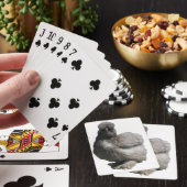 Zelden gekke kippen Breed Blue Silkie Hen Poultry Pokerkaarten (Insitu)