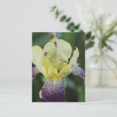 Zelden Orchid Briefkaart (Staand voorkant)