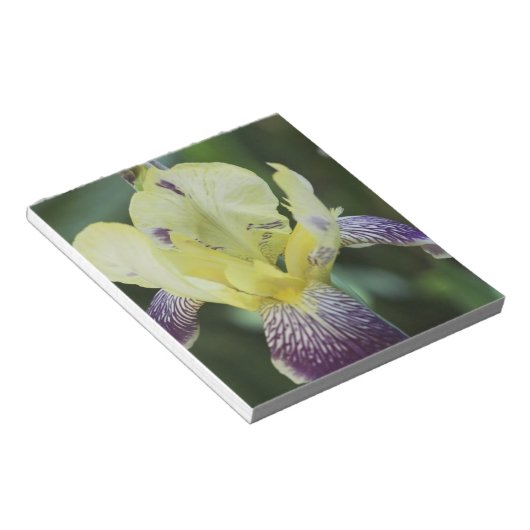 Zelden Orchid Notitieblok (Schuin)