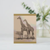 Zelden voorkomende Afrikaanse Giraffes met retro i Briefkaart (Staand voorkant)
