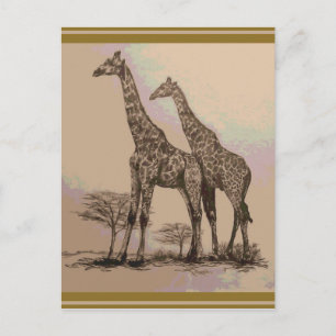 Zelden voorkomende Afrikaanse Giraffes met retro i Briefkaart