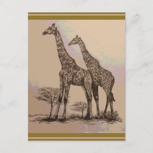 Zelden voorkomende Afrikaanse Giraffes met retro i Briefkaart (Voorkant)